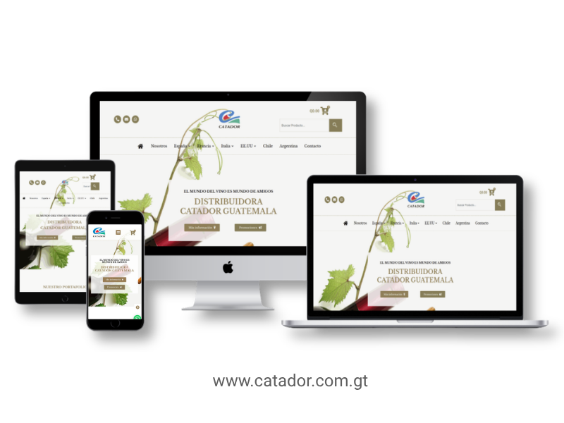 Diseño web Catador Guatemala