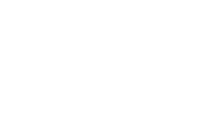 Digital 11 logo